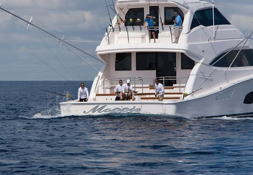 Cabo Fishing Boat Sales